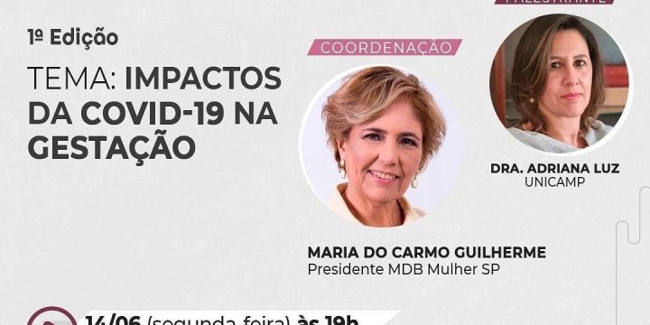 Card Conexões Mulheres Covid Gravidez