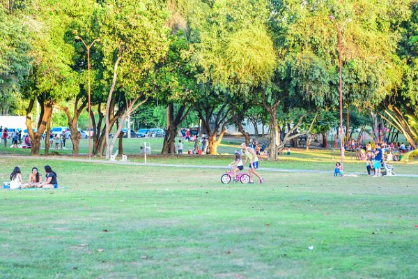 O que Boa Vista tem? Bosque do Mirandinha