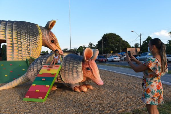 O que Boa Vista tem? Selvinha amazônica com tatus gigantes na praça do pricumã