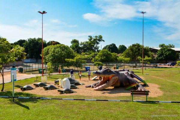 Selvinha amazônica na praça do Caranã