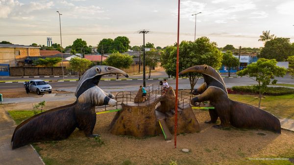 O que Boa Vista tem? Praças modernas com selvinha amazônica por toda cidade