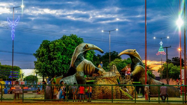 A praça do Cidade Satélite tem uma edição da selvinha amazônica