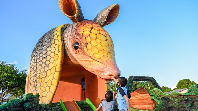 Selvinha amazônica no Parque do Igarapé Pricumã