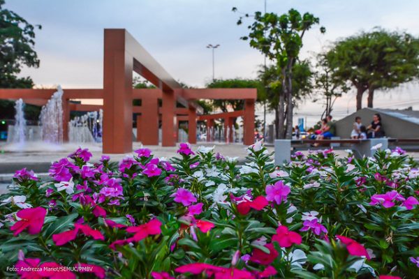 As flores de Boa Vista colorem as praças da cidade