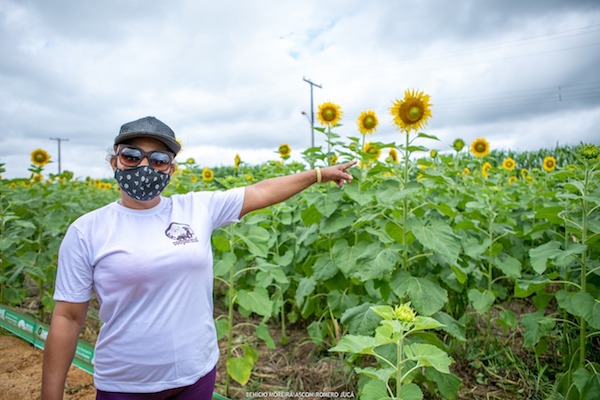 Agricultura em Boa Vista