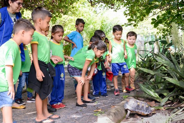 Crianças observam animais no Bosque dos Papagaios