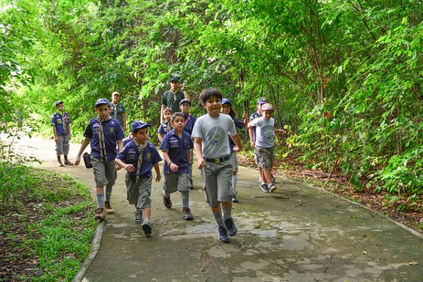 Crianças passeando no bosque dos papagaios
