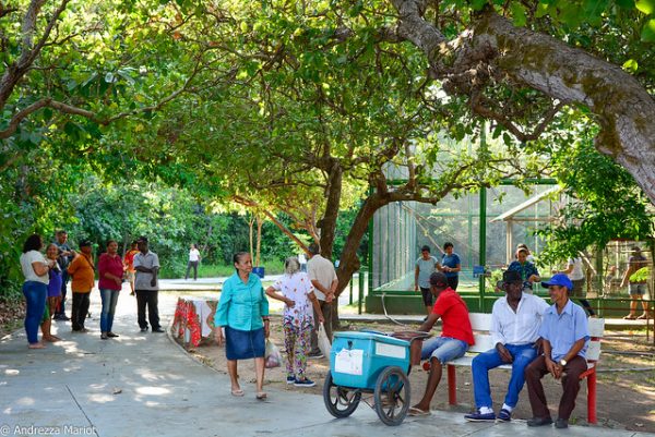 Idosos aproveitam para passear no parque e observar os animais