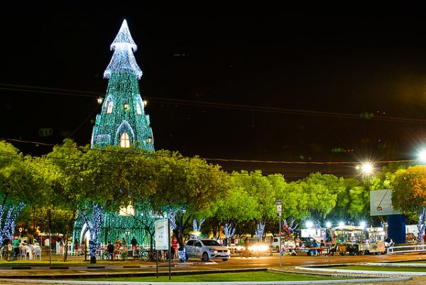 Árvore da Praça Germano Augusto Sampaio