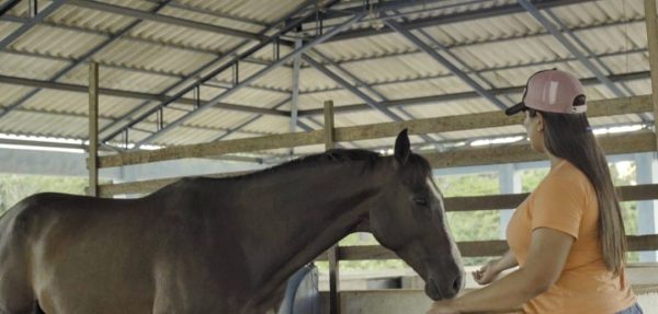 Alice cuidando do cavalo no Parque de Exposições. É uma prova do esporte em Roraima que é tradicional