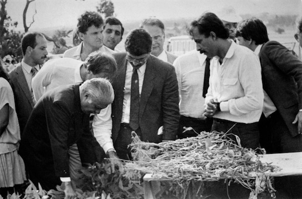 José Sarney e Romero Jucá na primeira colheita de soja em Roraima