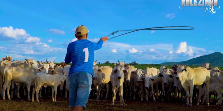 Rolezinho do Bem fala sobre Bovinocultura em Amajari
